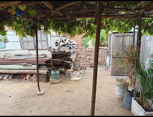 1 BEDROOM HOUSE FOR SALE IN OLIEVENHOUTBOSCH